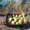 Mangue Kent BIO | Andalousie