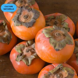 Kaki Fuyu 2kg | Culture Naturelle Andalousie