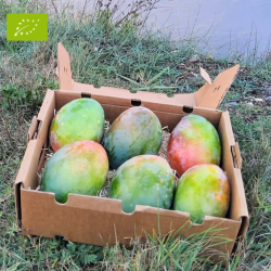 Mangue Keitt 5kg | Culture Naturelle d'Andalousie