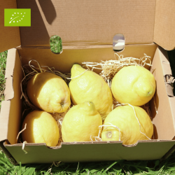 Citron Bio 2kg | Citrons bio d'Andalousie