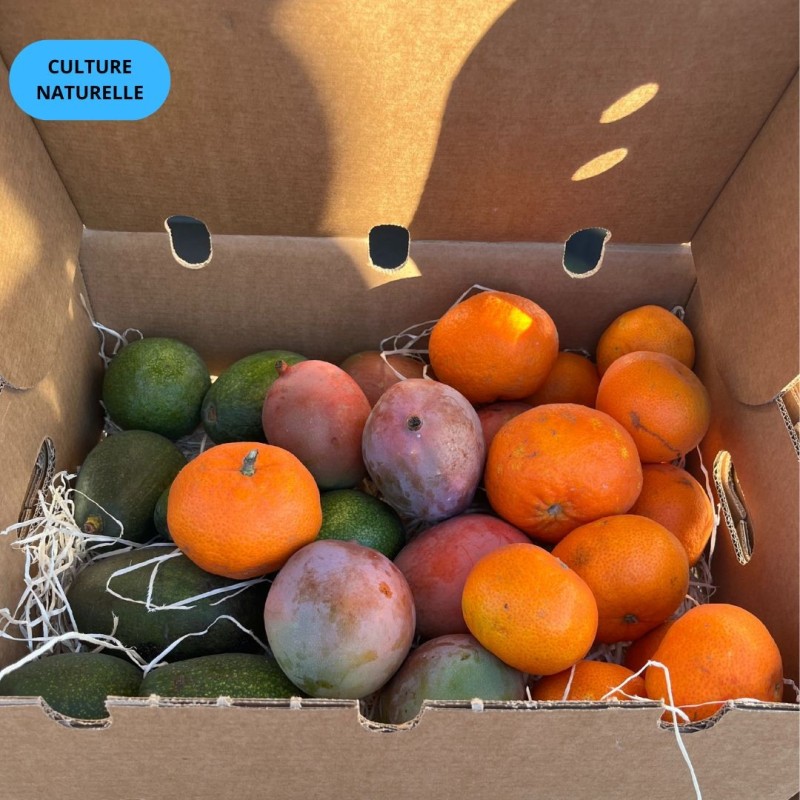 CAGETTE MIX (CN) 5KG (AVOCAT + MANGUE + MANDARINE)