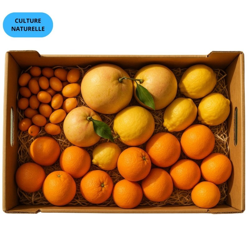 CAGETTE MIX AGRUMES (CN) 5KG (KUMQUAT + POMELO + CITRON + ORANGE )
