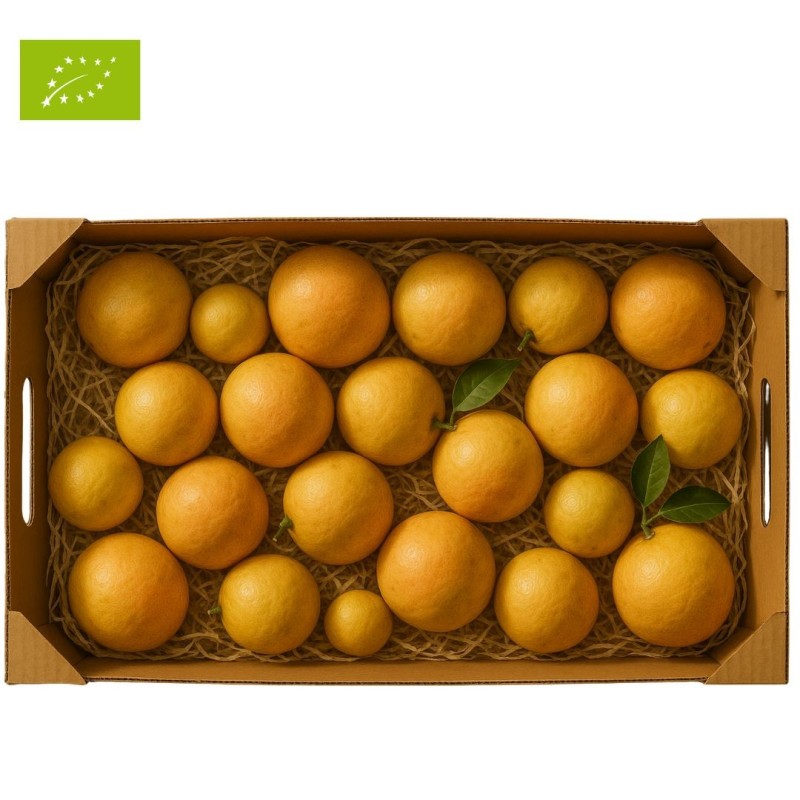 CAGETTE POMELO BIO 5KG