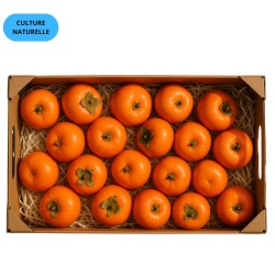 CAGETTE KAKI NON ASTRINGENT (CN) 5KG