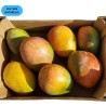 CAGETTE MANGUE KEITT EXTRA (CN) 4,8KG
