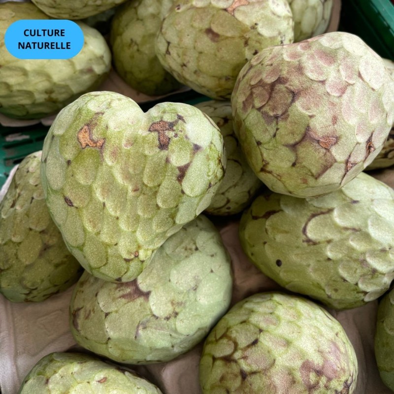 CAGETTE CHIRIMOYA (CN) 2KG