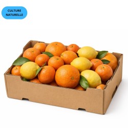 CAGETTE MIX AGRUMES (CN) 4,8KG (CLÉMENTINE + ORANGE + CITRON)