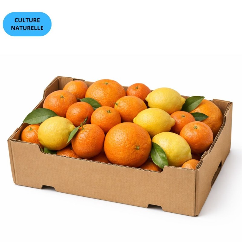 CAGETTE MIX AGRUMES (CN) 4,8KG (CLÉMENTINE + ORANGE + CITRON)