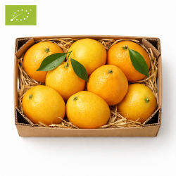 POMELO STAR RUBY BIO (CAT EXTRA, CALIBRE VARIÉ) (2KG)