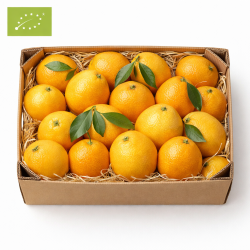 POMELO STAR RUBY BIO (CAT EXTRA, CALIBRE VARIÉ) (5KG)